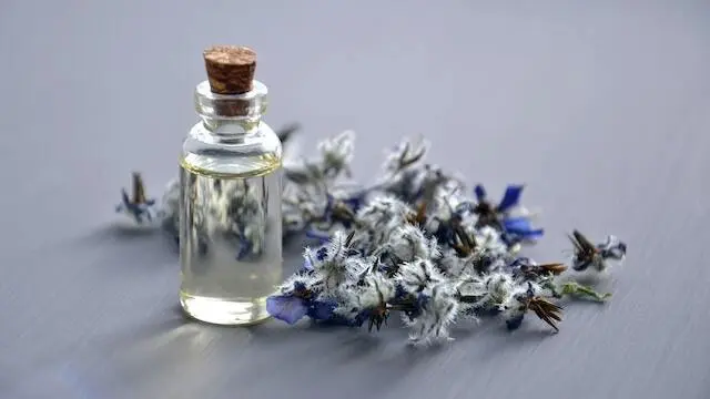 The lavender essential oil in a glass bottle on wooden background